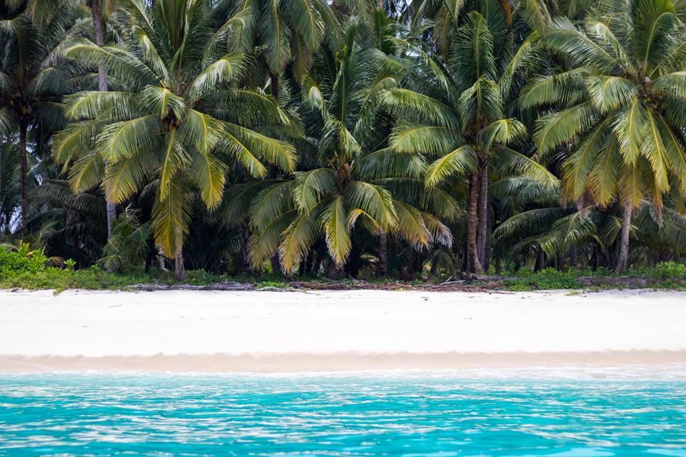 Mentawai Ebay Playground Surfcamp Villa Masokut Eksteriør billede